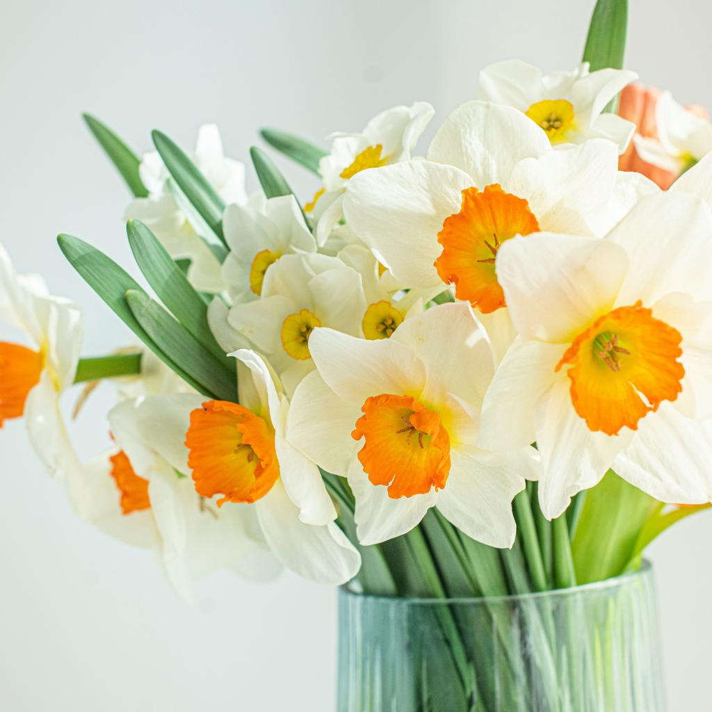 A clear glass vase filled with fresh spring blooms—white petals, sunny yellow centers, and vibrant green stems—capturing the light, airy feeling of the season.