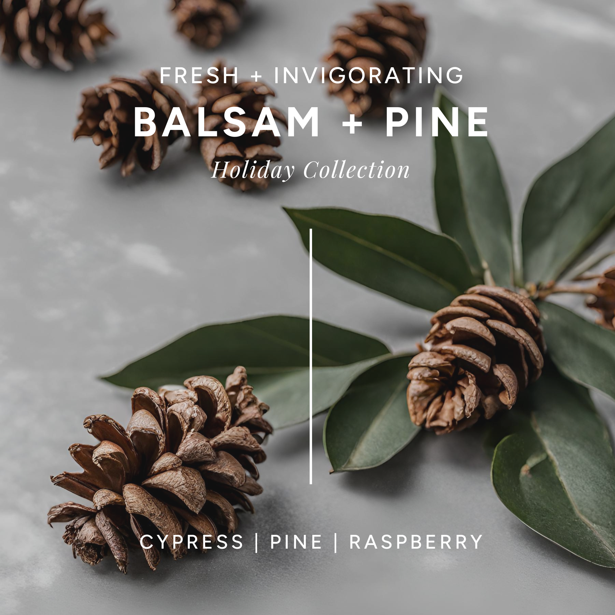 Balsam + Pine Deconstructed Candle | Candle Refill Kit
