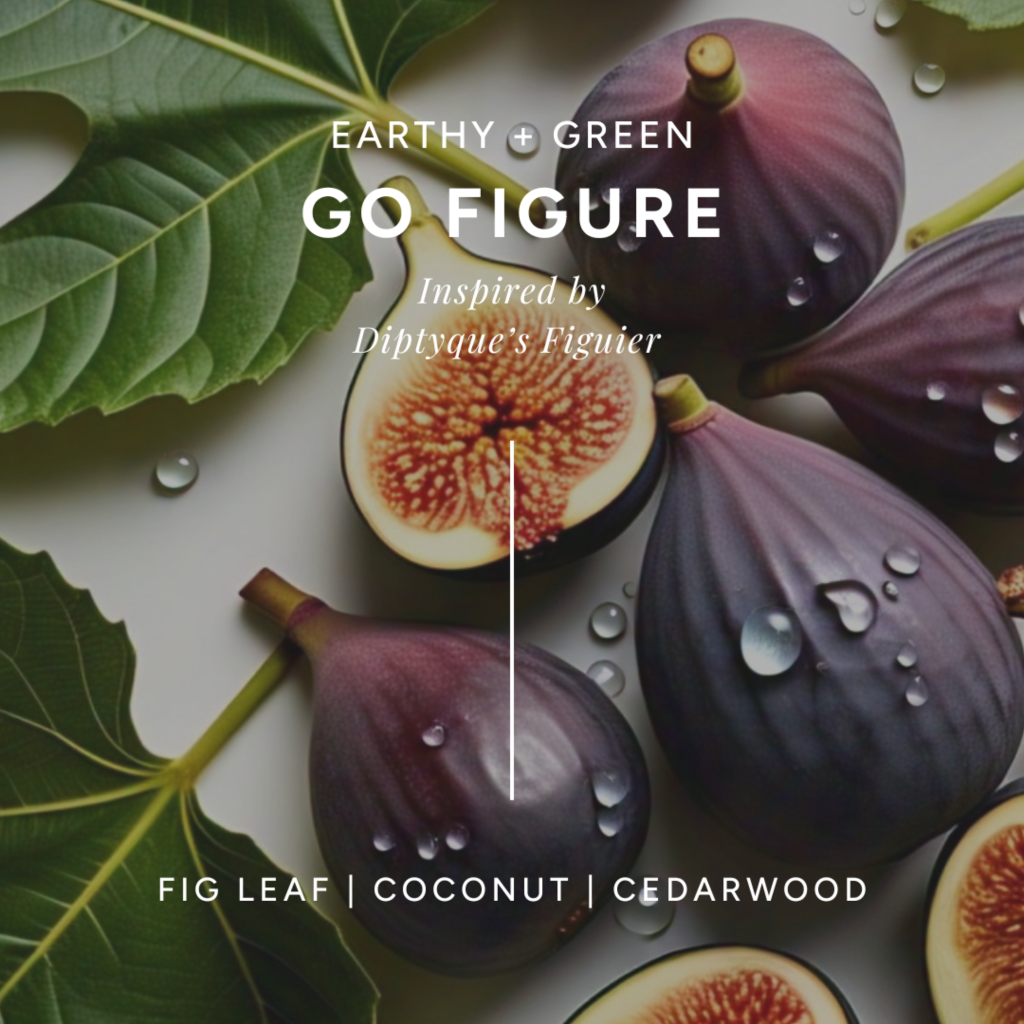 Infographic of 'Go Figure' scent with fresh figs and leaves. Has notes of fig leaf, coconut, and cedarwood. 