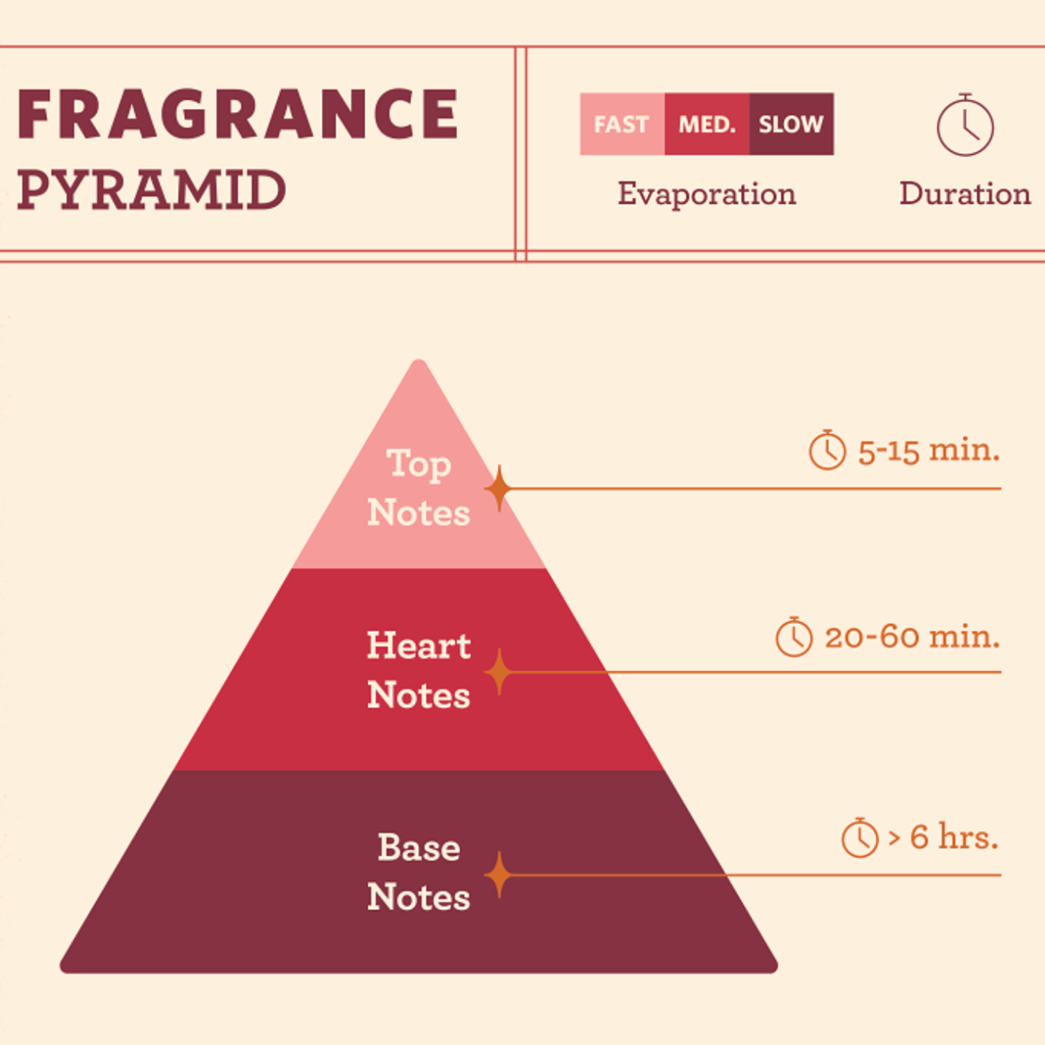 Fragrance pyramid diagram showing top, heart, and base notes with time durations.
