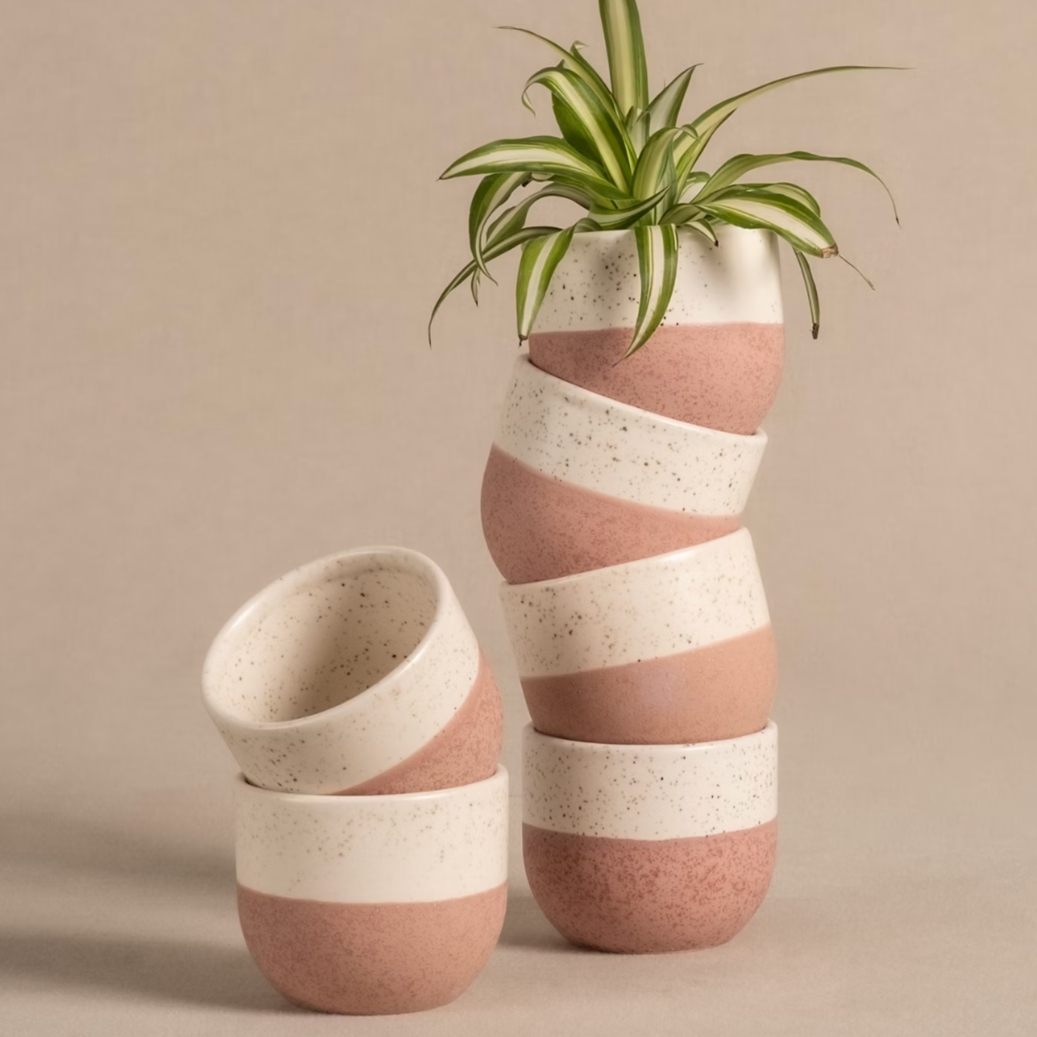 6 pink and cream striped ceramic vessels and a plant on a beige background